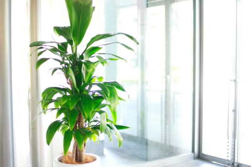 KKR Hotel Hakata Fukuoka  Bagian luar foto